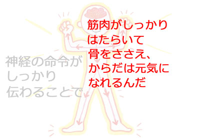 自律神経失調症　克服　整体　横浜　改善 治療院　治療